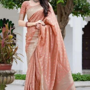 Womanista Women's Plain Organza Solid Embellished pitch saree