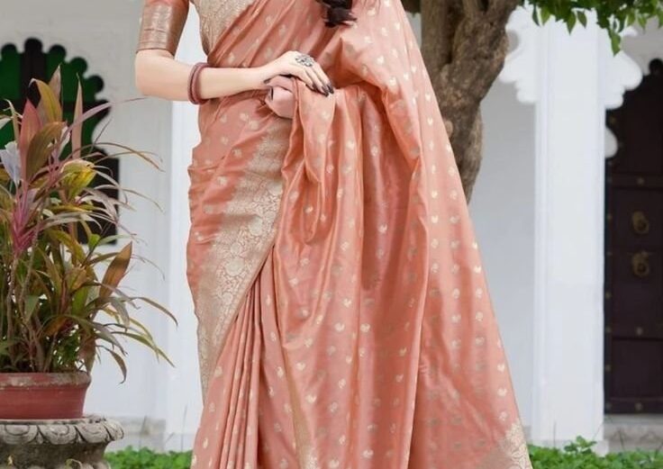 Womanista Women’s Plain Organza Solid Embellished pitch saree